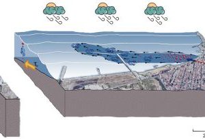 Sketch che mostra la dispersione di arsenico nei sedimenti marini del golfo di Bagnoli-Coglio e l'interazione dell'apporto di fluidi geotermici dall' effluente di Agnano e lo schema di circolazione meteo-marina del settore di golfo studiato.