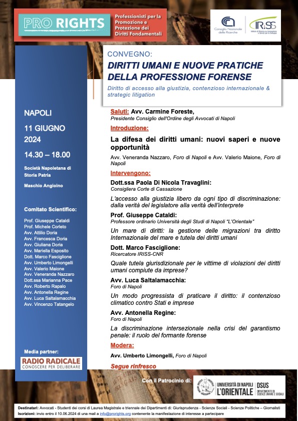 Diritti umani e le nuove pratiche della professione forense. Diritto di accesso alla giustizia, contenzioso internazionale e strategic litigation